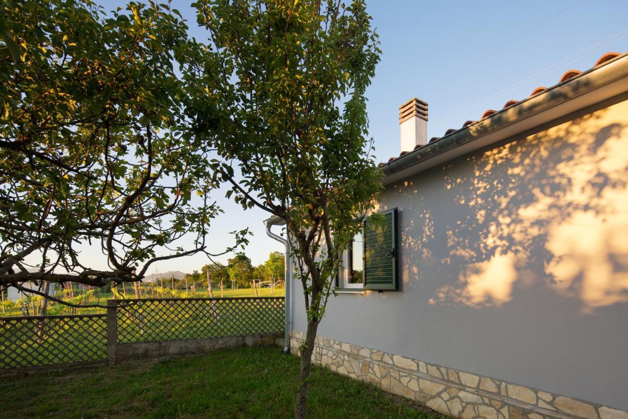Villa Amaryllis Labin  Ngoại thất bức ảnh